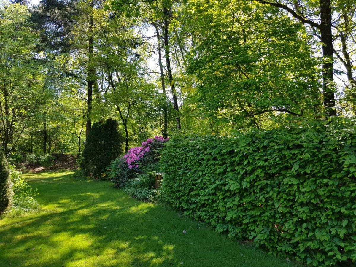 Knusse Bungalow Otterlo Veluwe Exterior photo